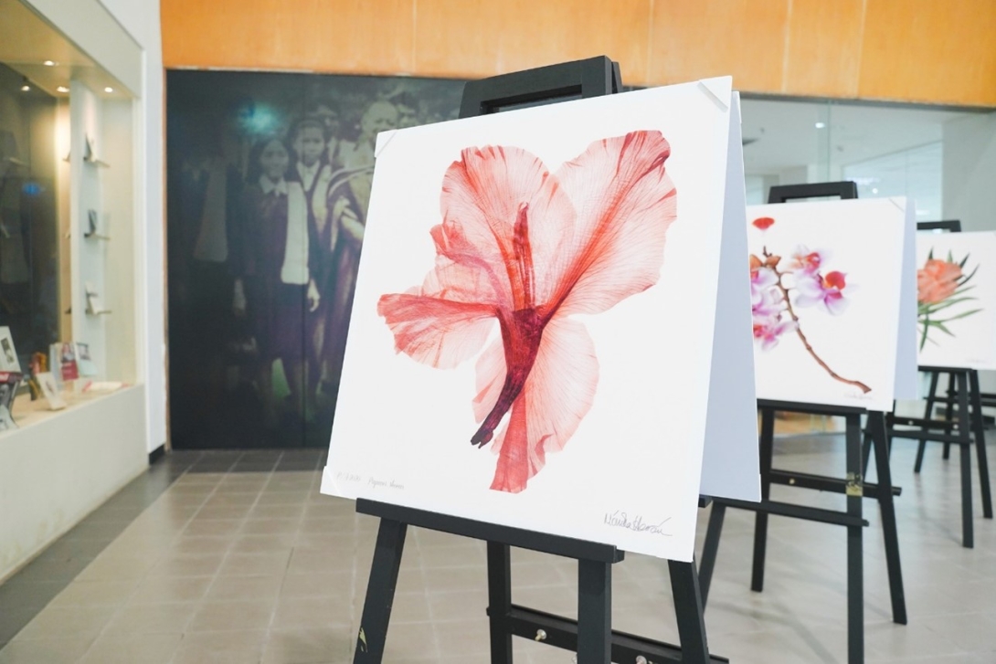 “Exposición “Floribus: Un viaje a la flora de Colombia” En Tailandia